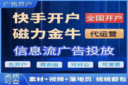某企业通过SEO和SEM双管齐下实现业绩飞跃的案例